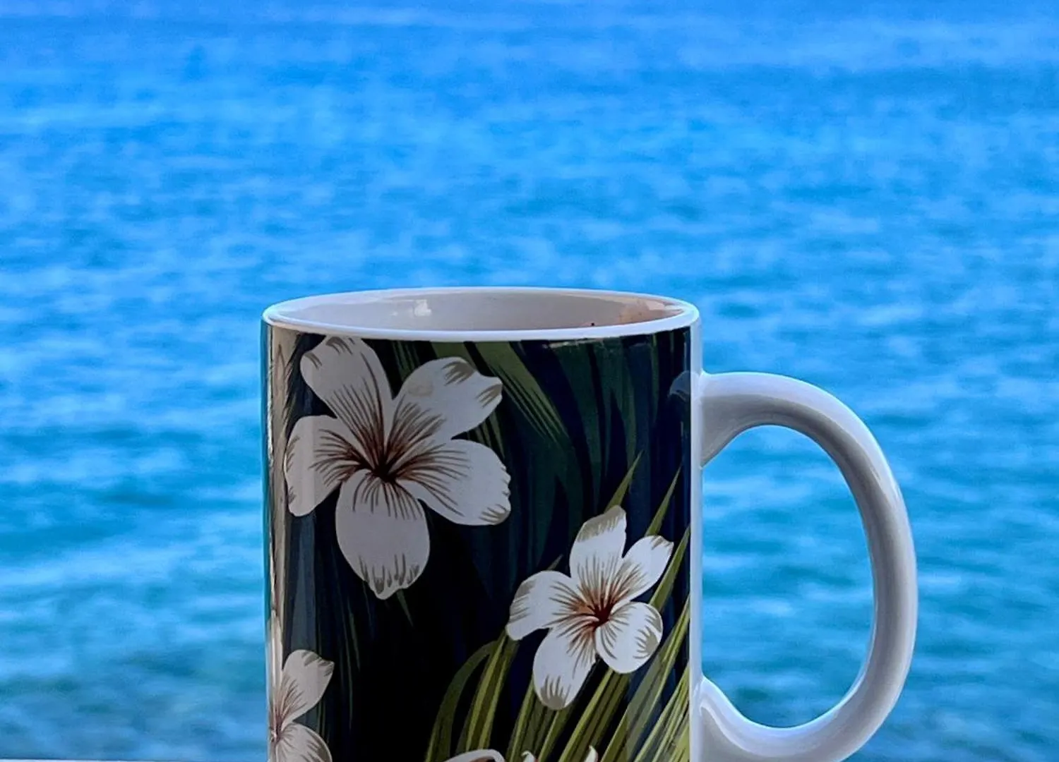 Ocean Echoes: Kona'S Oceanfront Family Oasis Kailua-Kona Casa de Férias